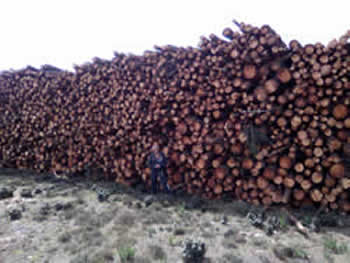 EnViver de la Sierra